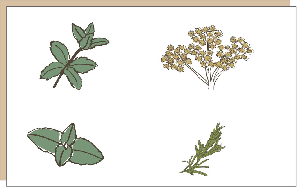 Projekt Jardin Closel Bourbon — Thimoo